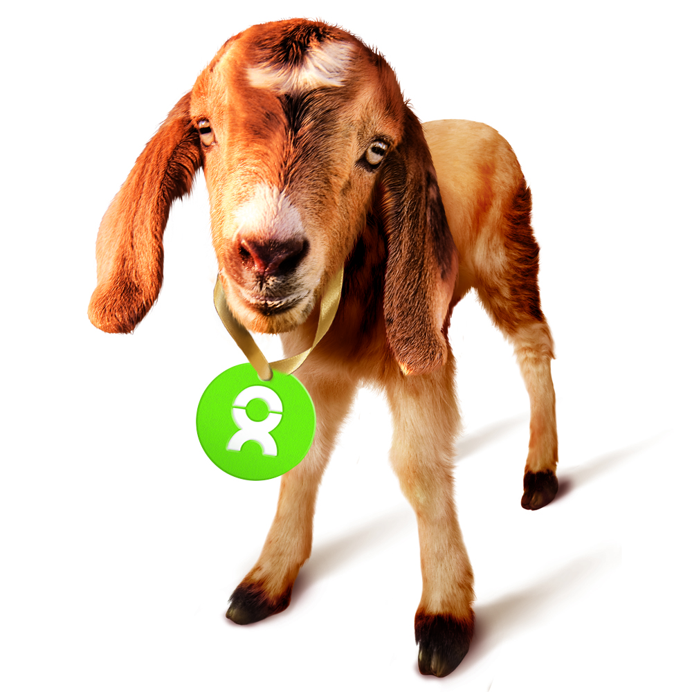 Archie the Goat - with Gift Tag